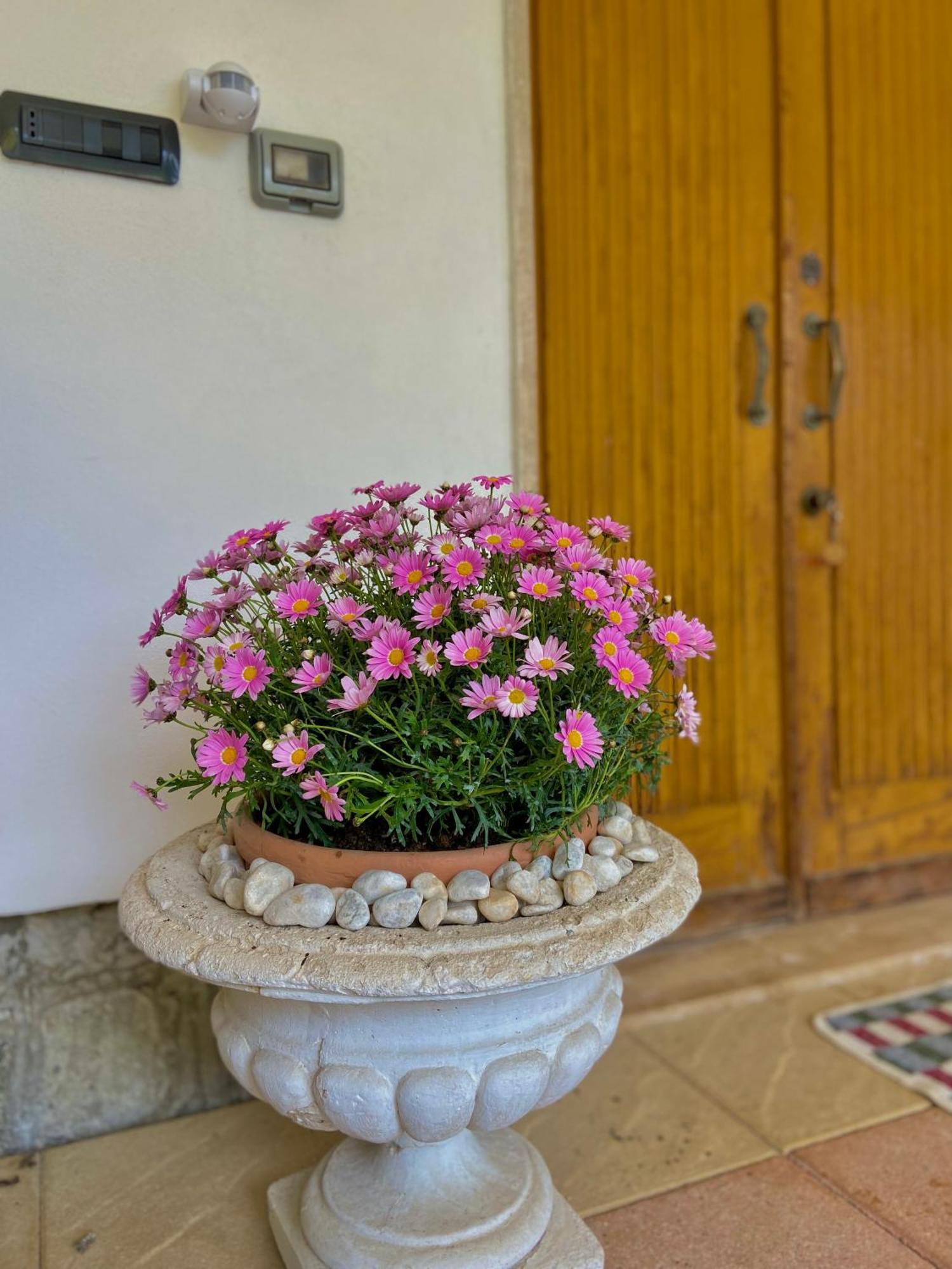 Avventura E Relax A Bagnasco 2 Appartement Buitenkant foto